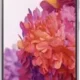 Smartphone displaying a vibrant floral wallpaper with pink and purple flowers on its screen.